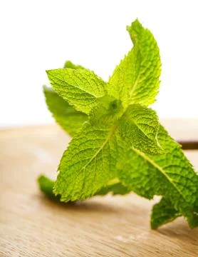 Fresh mint leaves Stock-Fotos