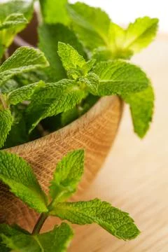 Fresh mint leaves Stock Photos