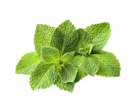 Fresh mint leaves Foto stock
