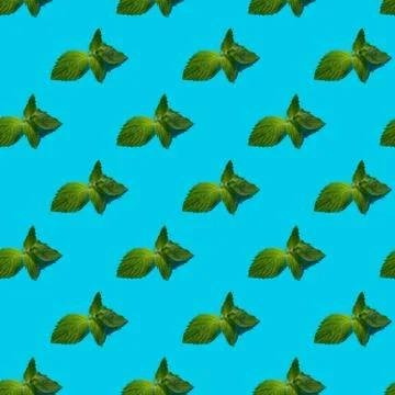 Fresh mint leaves seamless pattern on blue background. Stock Photos