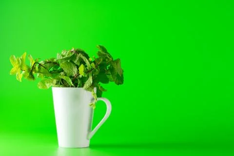Fresh mint in mug Stock Photos