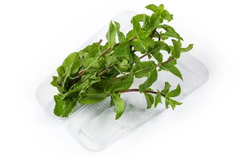 Fresh mint in open small plastic container on white background Stock Photos
