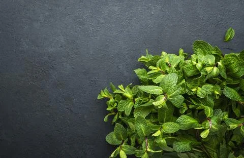 Fresh mint or peppermint on dark background. Medicinal plant, close-up, top.. Stock Photos