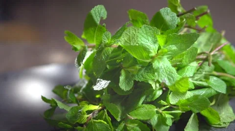 Fresh mint over dark background. Peppermint  Stock Footage 50045235