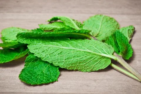 Fresh mint Stock Photos