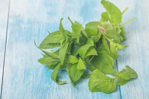 Fresh mint Foto stock