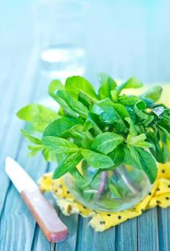 Fresh mint Stock Photos