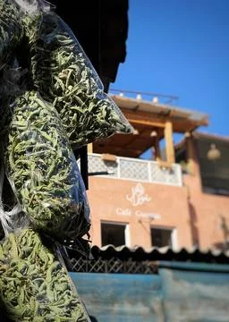 Fresh mint Stock Photos