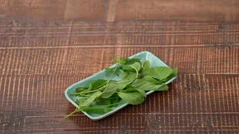 Fresh mint on plate Stock Footage 183563863