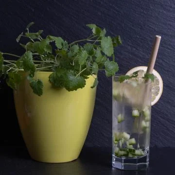 Fresh mint in a pot, next to a lemon Stock Photos