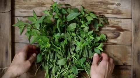Fresh mint on rustic background Stock Footage 77565922