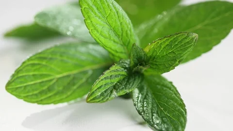 Fresh mint sprig on white table surface 库存影片 340030538