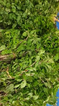 Fresh Mint Sprigs Stock Photos