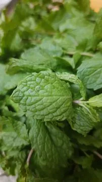 Fresh Mint Sprigs Stockfoto's