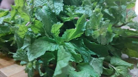 Fresh Mint Sprigs Stockfoto's