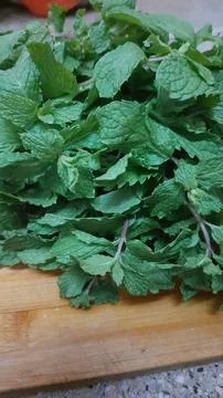 Fresh Mint Sprigs Stockfoto's