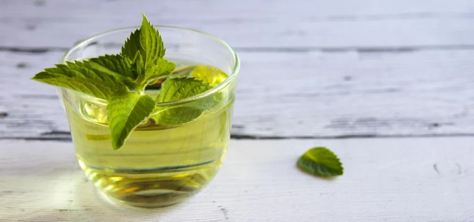 Fresh mint tea concept. Mint tea in transparent cup and one mint leaf. Stock Photos