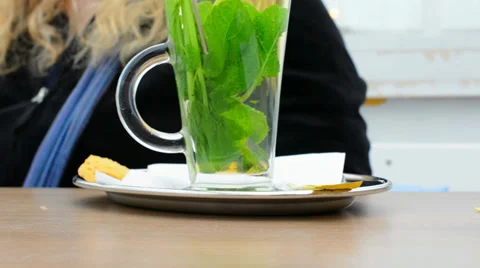 Fresh mint tea Stock Footage 30486695