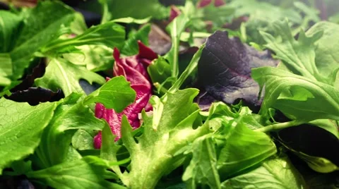 Fresh Mixed Leaf Salad Rotating Stock Footage 61414398