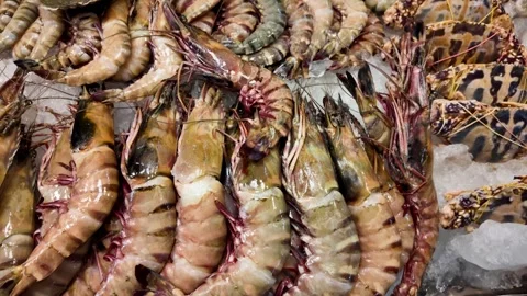 Fresh Mixed Seafood Display on Ice at Thai Seafood Market 動画素材 337649398