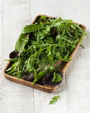 A fresh mixture of different herbs and leaves for salad. healthy eating. Fotos de archivo