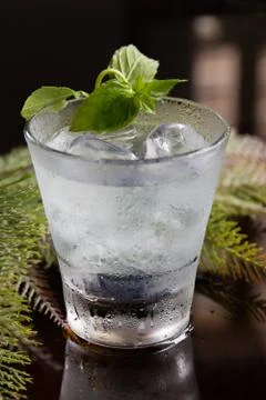 Fresh mojito on a dark background. Stock-Fotos