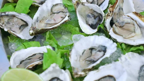 Fresh mollusks on restaurant table, half shell raw oysters served with ice cubes Video stock 239661091
