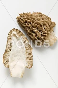 Fresh morel, halved Stock Photos
