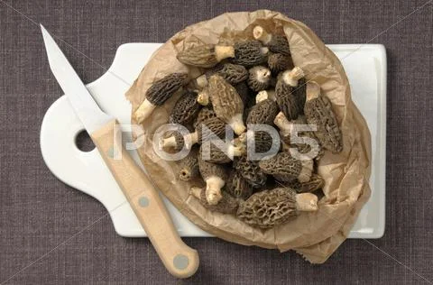 Fresh morels in a paper bag Stock Photos