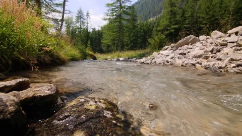 Fresh mountain stream in the alps of Austria Stock Footage 158612503