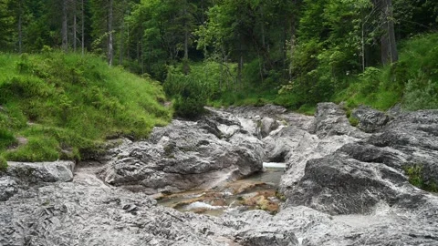 Fresh mountain stream in a beautiful landscape Stock Footage 211455703
