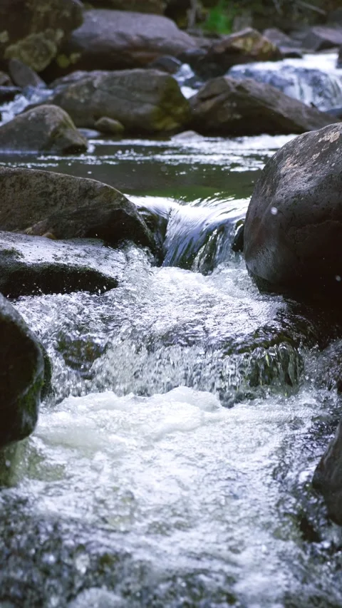 Fresh mountain stream cascading over mossy rocks in a quiet forest. Видео 330589506