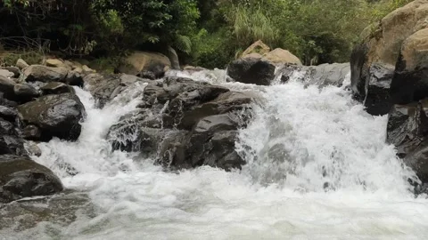 Fresh Mountain Stream Cascading Over Dark Tropical Forest Rocks Video stock 334488010