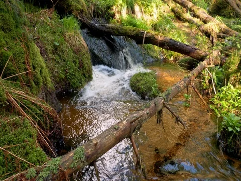 Fresh mountain stream Stock Footage 82868509