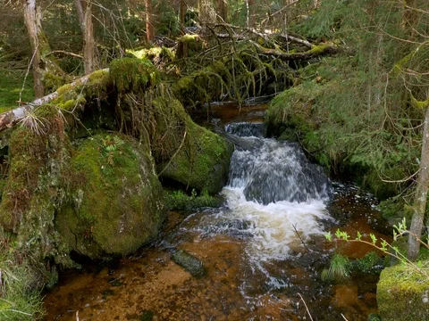 Fresh mountain stream Vídeo Stock 82868874
