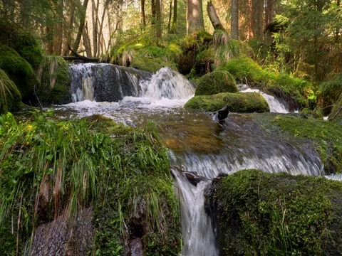 Fresh mountain stream Stock-Footage 82868891