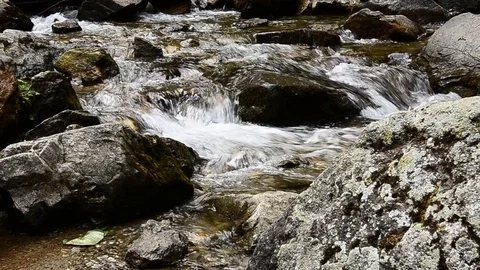 Fresh mountain stream 库存影片 89974027