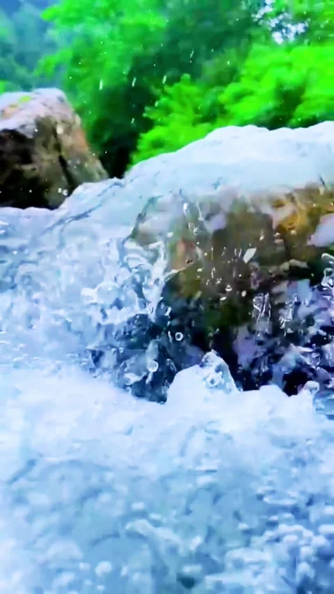 Fresh Mountain Stream Water Flowing Over Mossy Rocks in Nature 库存影片 336837542