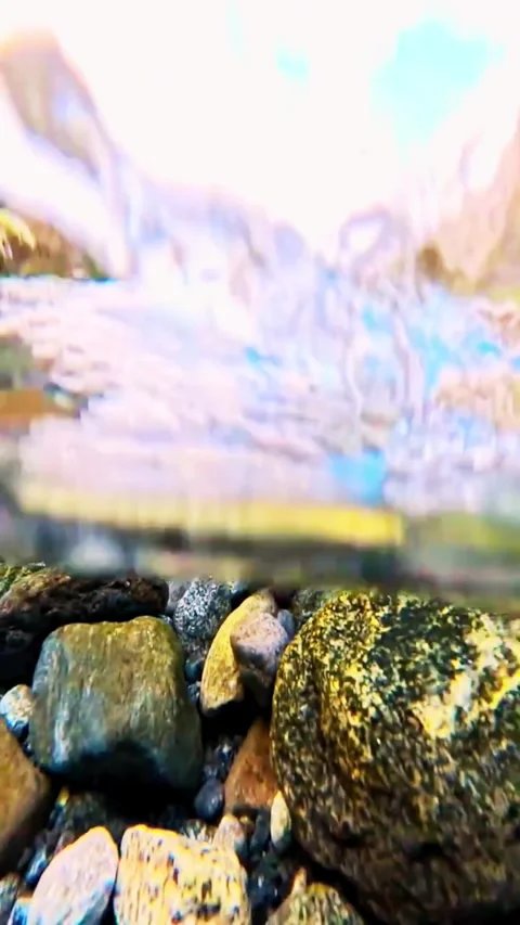 Fresh Mountain Stream Water Flowing Over Mossy Rocks in Nature Video stock 336903751