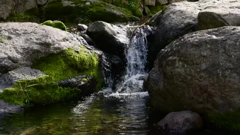 Fresh Mountain Stream Water Flowing Between Mossy Rocks Stock Footage 339639948