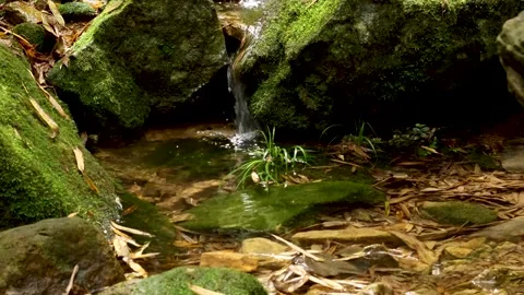 Fresh Mountain Stream Water Flowing over Mossy Rocks Stock Footage 340148629