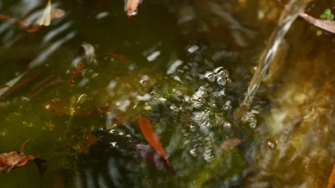 Fresh Mountain Water Video stock 98446181