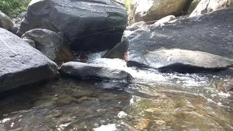 Fresh Mountain Water 库存影片 244445902