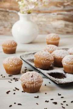 Fresh muffins Stock Photos
