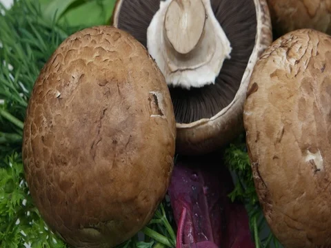 Fresh mushrooms and herbs rotate on a demonstration table Stock Footage