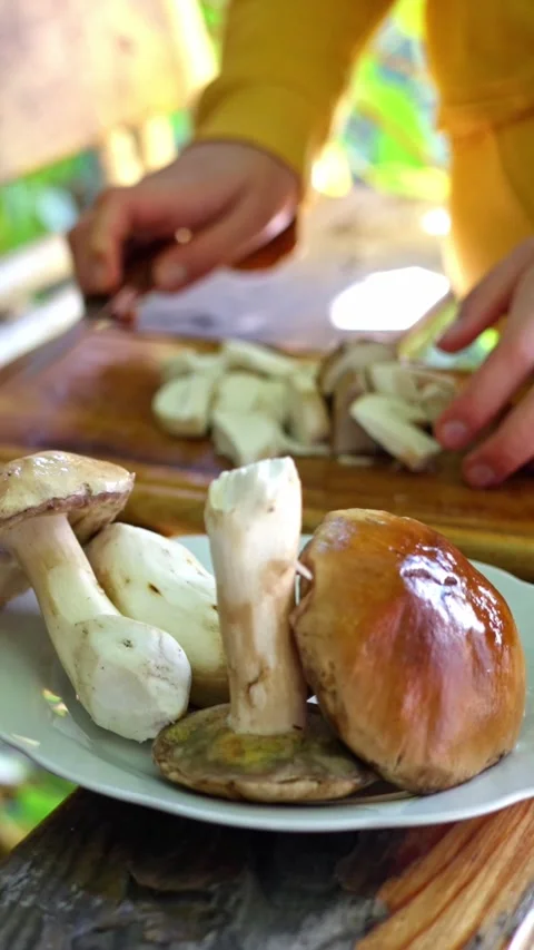 Fresh Mushrooms Being Skillfully Prepared Amidst the Beauty of Natures Splendor Stock Footage 308111171