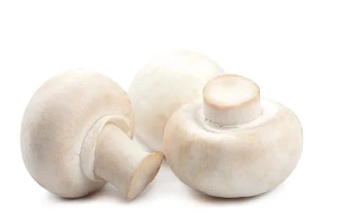 Fresh mushrooms isolated Stock Photos