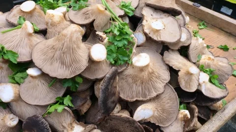 Fresh mushrooms, a key ingredient in rustic Italian dishes Stock Footage 305853604