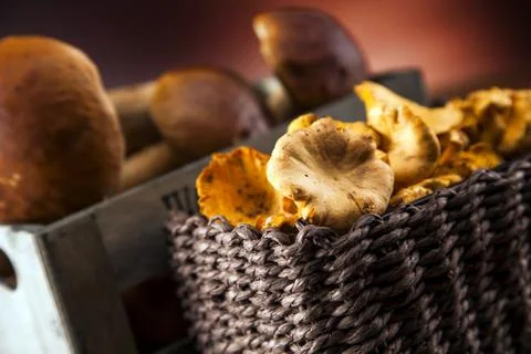 Fresh mushrooms Stock Photos