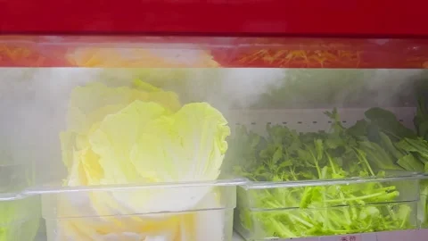Fresh napa cabbage and leafy vegetables prepared for Chinese hot pot, healt.. 库存影片 340469436